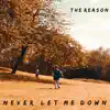 The Reason - Never Let Me Down - Single